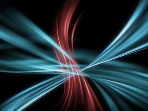 南川金佛山杜鹃-展庭百科汇