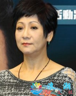 苏恩磁个人资料_作品介绍_生涯事迹-展庭百科汇