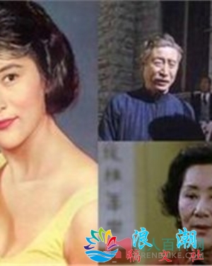 王莱个人介绍-展庭百科汇