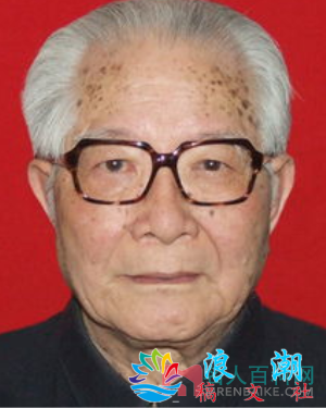 张灿玾个人介绍-展庭百科汇