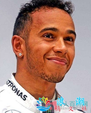 汉密尔顿个人资料_作品介绍_生涯事迹-展庭百科汇