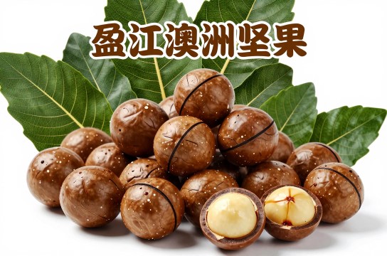 盈江澳州坚果