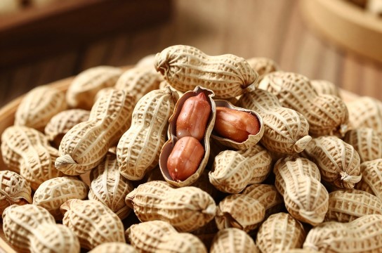 襄阳花生-展庭百科汇