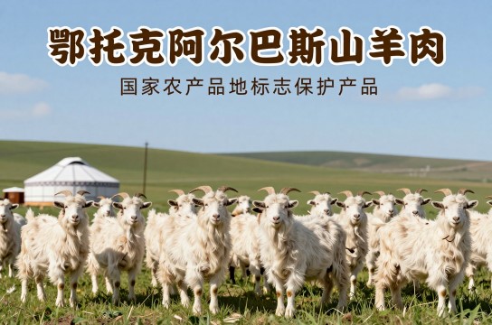 鄂托克阿尔巴斯山羊肉-展庭百科汇