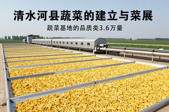 清水河脱水蔬菜