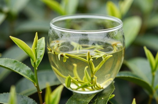 蕉岭绿茶-展庭百科汇