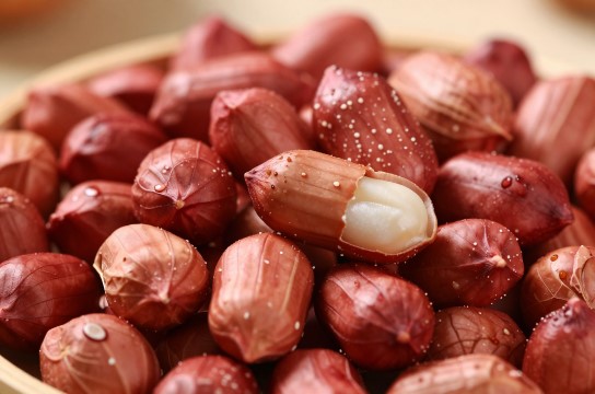 “四粒红”花生