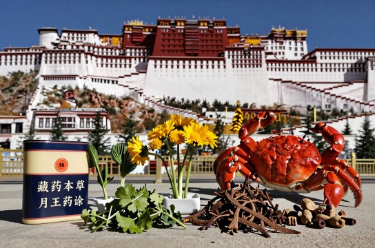 西藏藏药-展庭百科汇