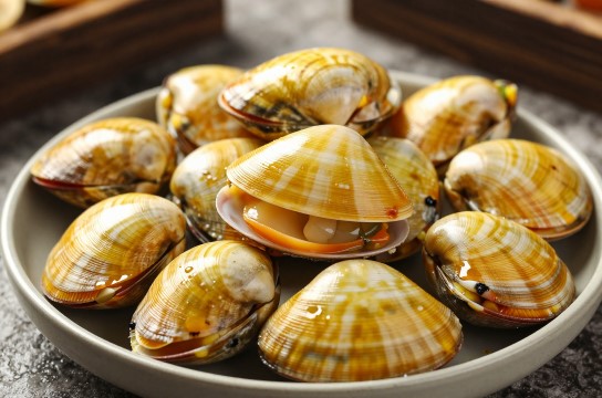 普兰店黄蚬-展庭百科汇