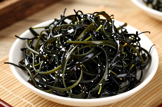金积黑色发菜