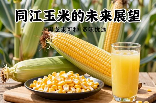 同江玉米-展庭百科汇