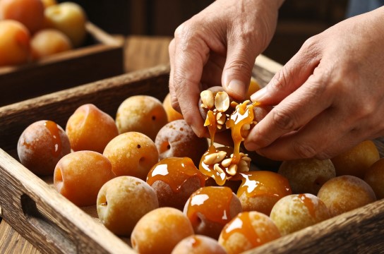 小溪入嘴梅-展庭百科汇