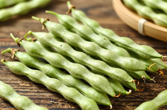 江南四季豆是哪里的特产?_广西蔬菜特产介绍-展庭百科汇