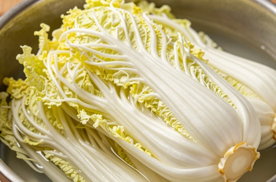 红星酸菜-展庭百科汇