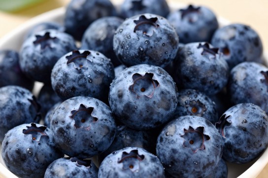 章镇蓝莓是哪里的特产?_浙江水果类介绍-展庭百科汇