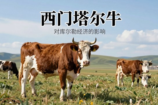 西门塔尔牛-展庭百科汇