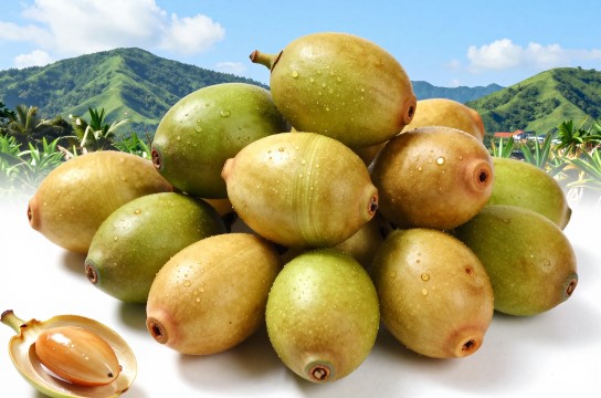 万宁槟榔-展庭百科汇