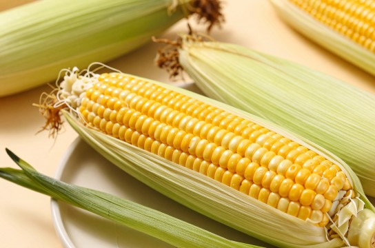 绥化鲜食玉米-展庭百科汇