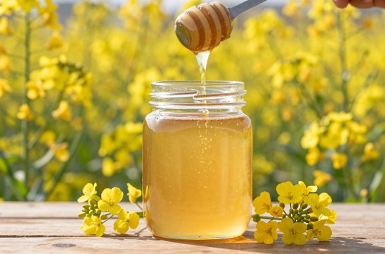 贵南油菜花蜂蜜-展庭百科汇