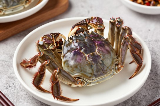 天津紫蟹