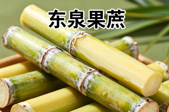 东泉果蔗