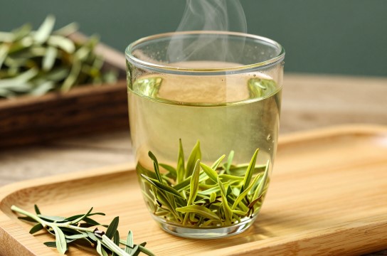 金湖蒿茶