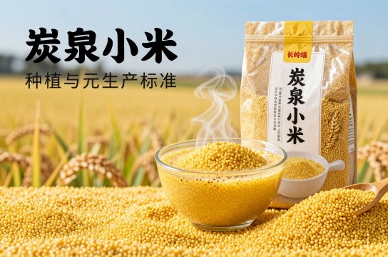 炭泉小米是哪里的特产?_吉林粮食特产介绍-展庭百科汇