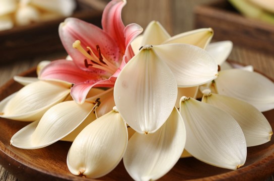 江津百合-展庭百科汇