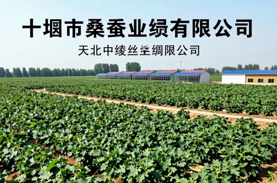 十堰桑蚕是哪里的特产?_湖北农产特产介绍-展庭百科汇