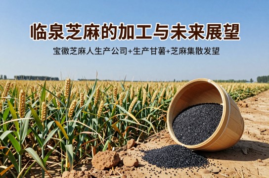 临泉芝麻-展庭百科汇