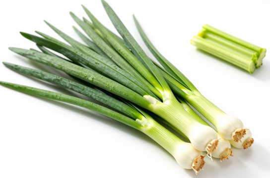 河口韭菜