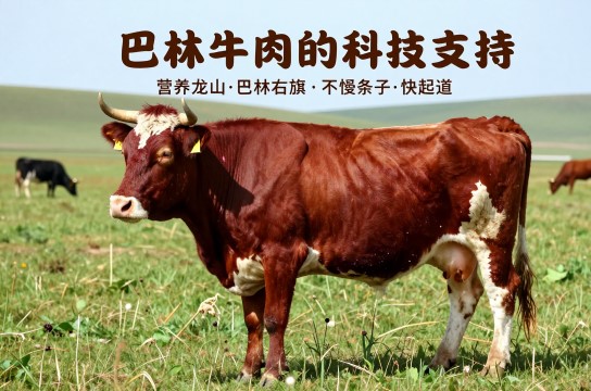 巴林牛肉-展庭百科汇
