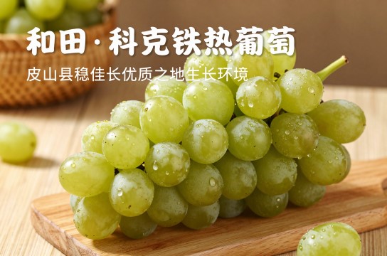 科克铁热克葡萄是哪里的特产?_新疆水果介绍-展庭百科汇