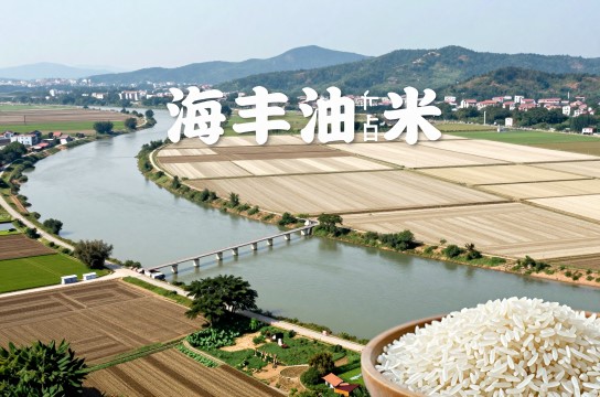 海丰油占米-展庭百科汇
