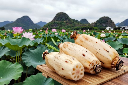 丘北莲藕