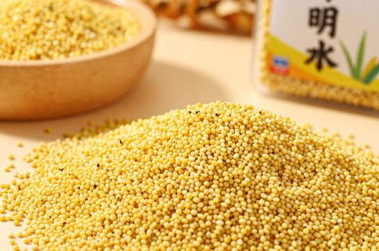 明水小米-展庭百科汇