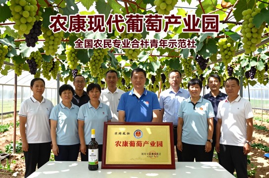 澧康葡萄