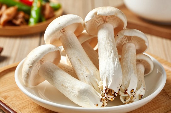 南华鸡枞菌是哪里的特产?_云南食用菌类介绍-展庭百科汇