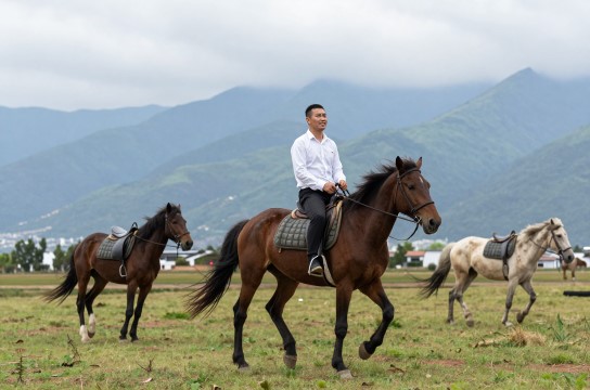 云南马-展庭百科汇