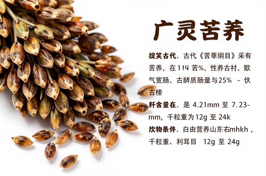 广灵苦荞