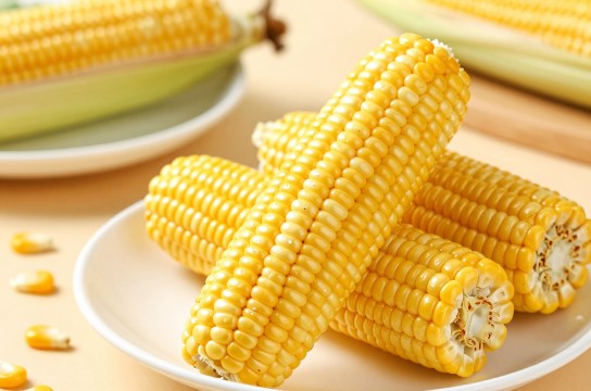 黑山谷糯玉米