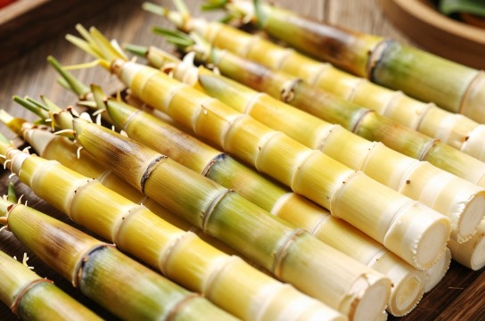 黄齑煮笋-展庭百科汇