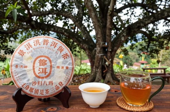 景洪普洱茶