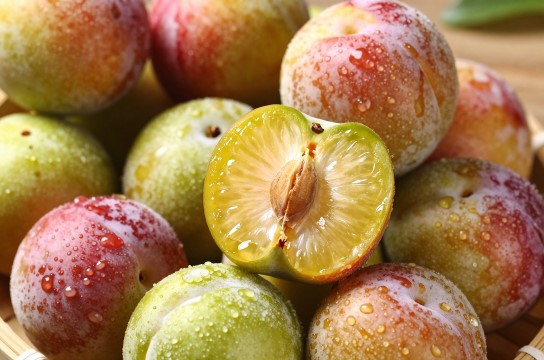 丹棱脆红李-展庭百科汇