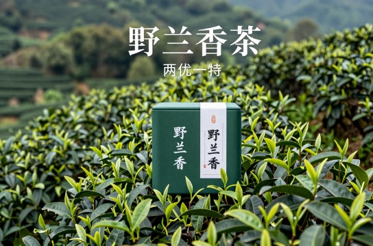 野兰香茶是哪里的特产?_安徽茶叶特产介绍-展庭百科汇