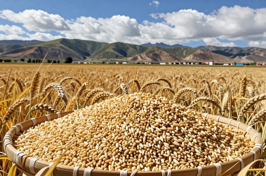 乃东青稞-展庭百科汇