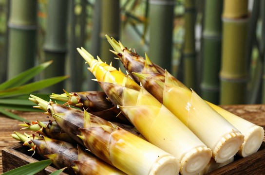 桃江竹笋-展庭百科汇