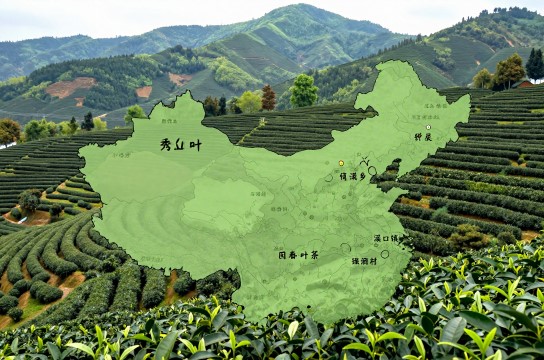 秀山茶叶-展庭百科汇