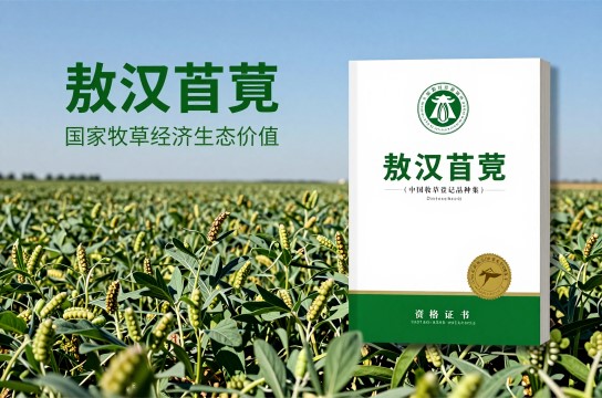 敖汉苜蓿-展庭百科汇