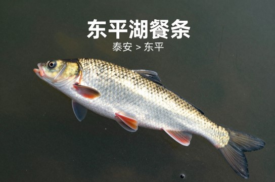 东平湖餐条-展庭百科汇